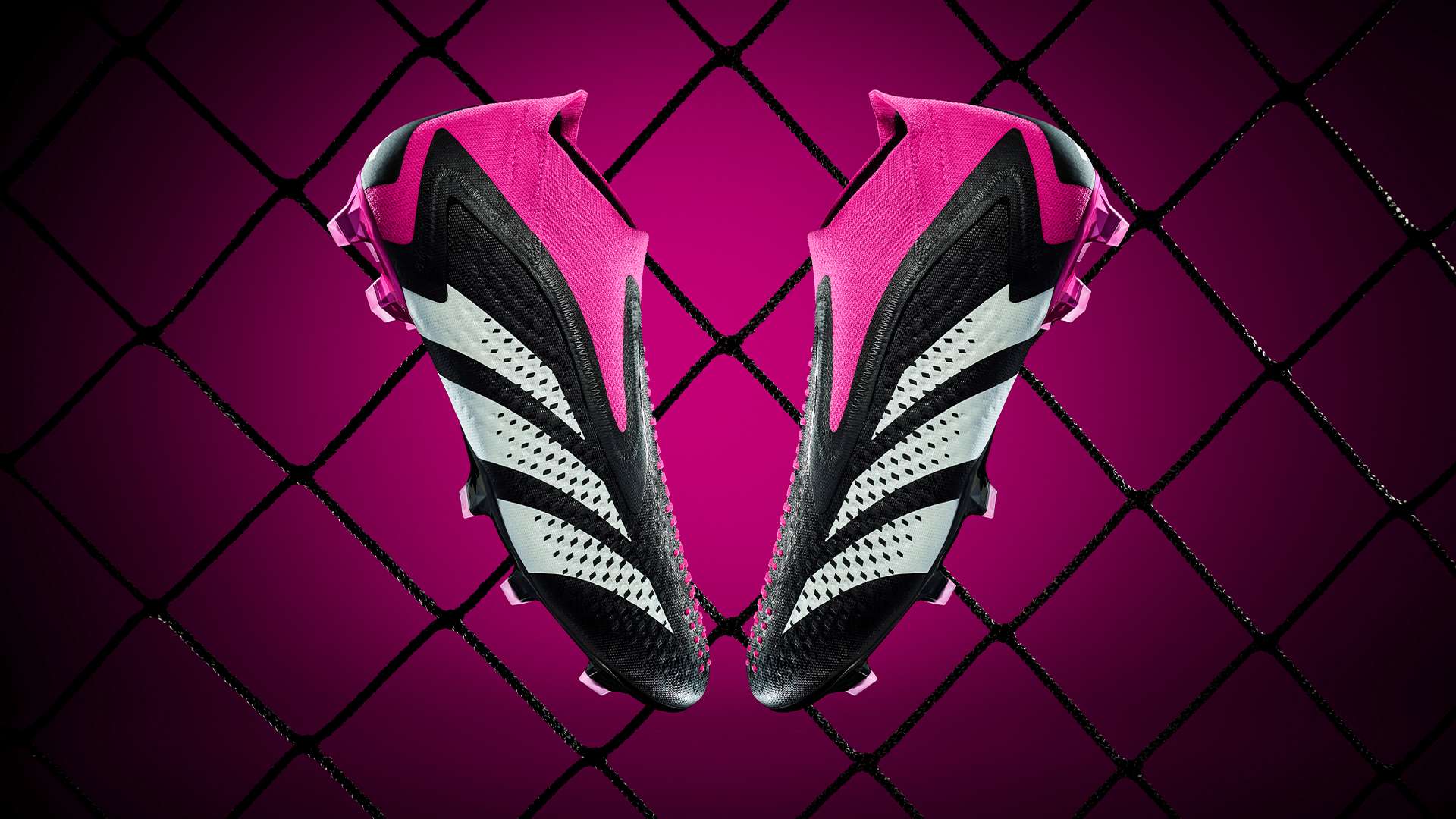 也提供了一 也提供了一